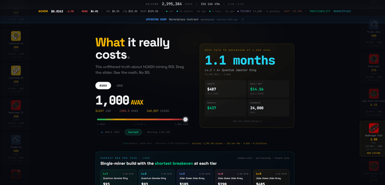 hCASH ROI Oracle